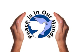 安博体育在线-决赛教练战术对决吸引全球关注,比赛中教练挑战是什么意思 第2张